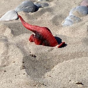 Meet your Posher, Patricia